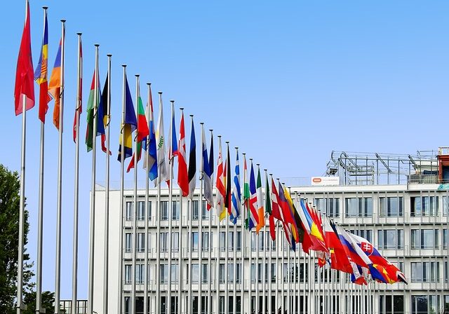 vakiolomakkeet vähentävät käännösten määrää EU:ssa