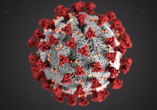 koronavirus